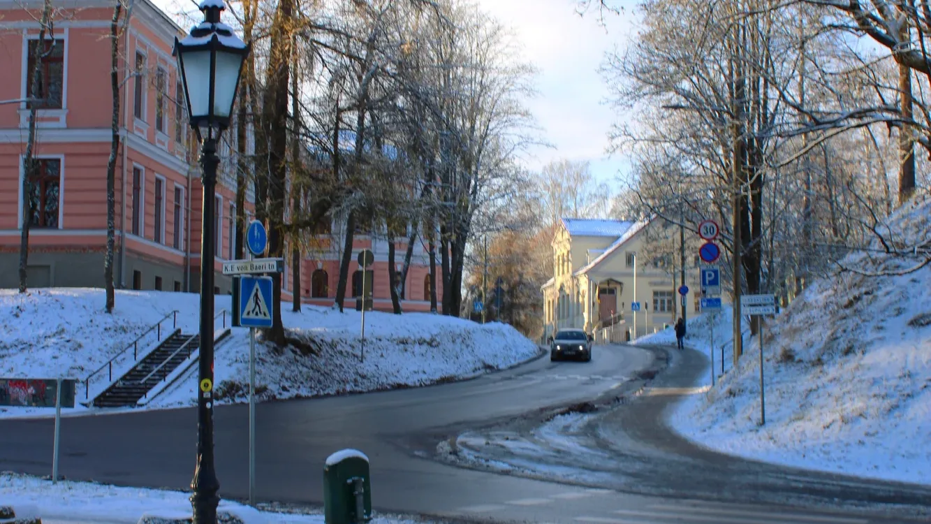 Stadtansicht von Tartu – Tiermedizinstudium in Estland